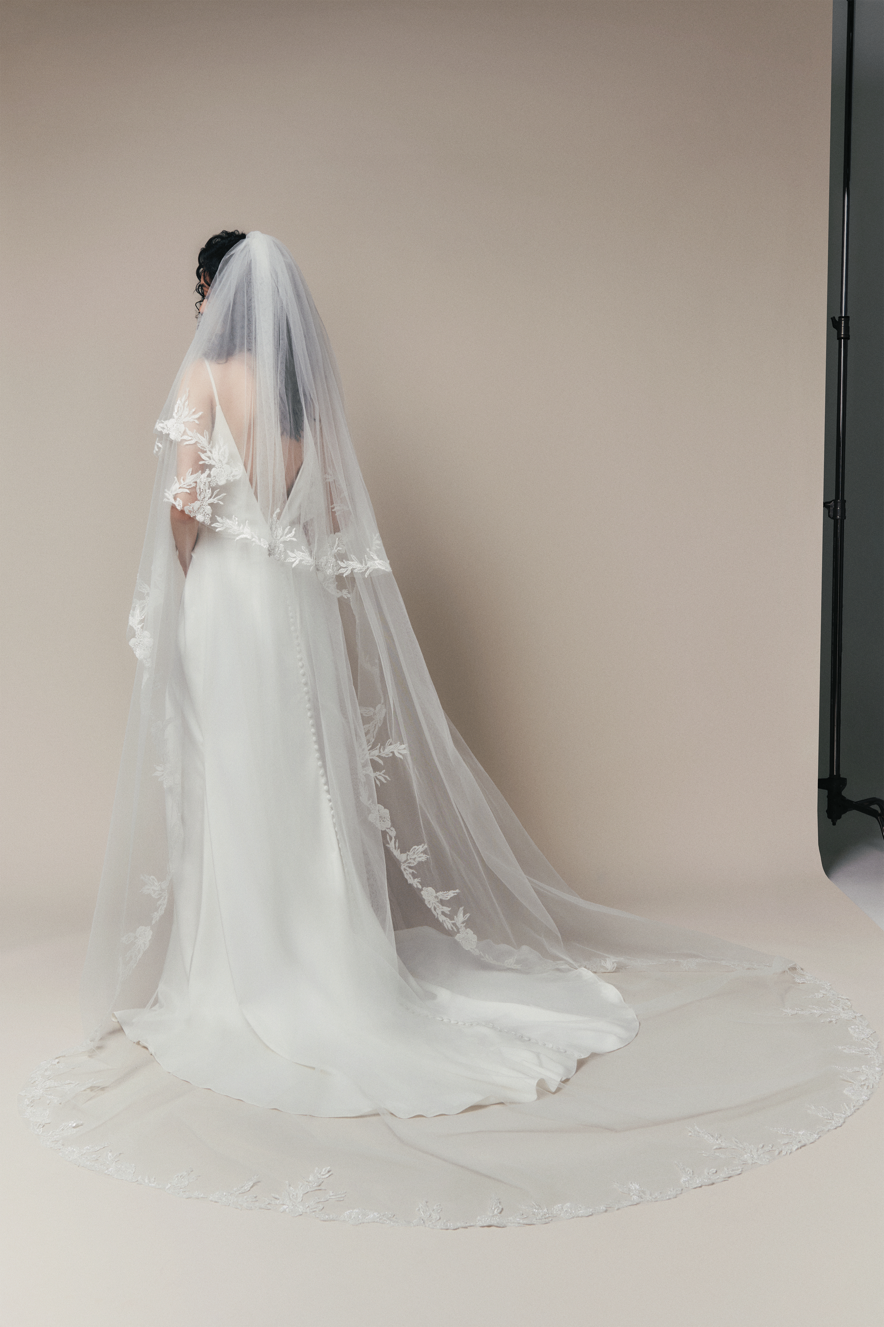 VEIL HARPER